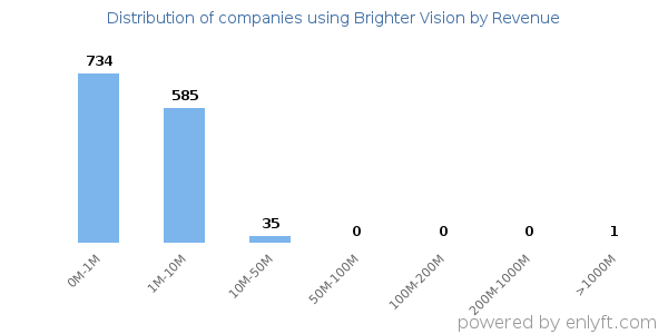Brighter Vision clients - distribution by company revenue