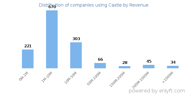 Castle clients - distribution by company revenue