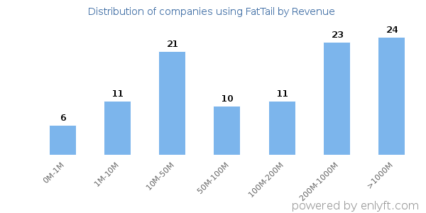 FatTail clients - distribution by company revenue