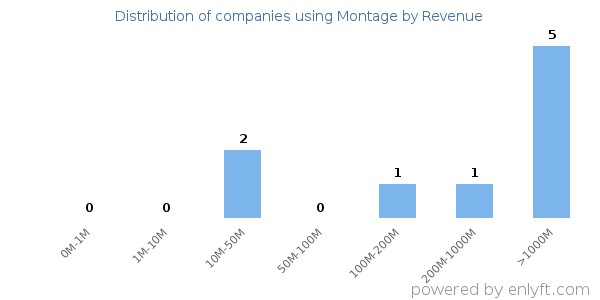 Montage clients - distribution by company revenue