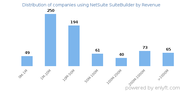NetSuite SuiteBuilder clients - distribution by company revenue