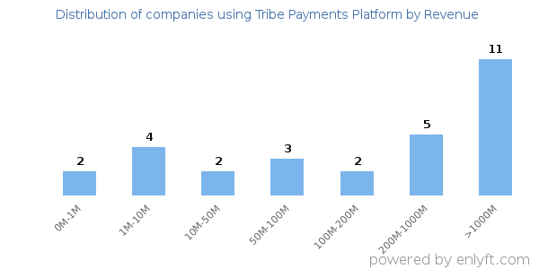 Tribe Payments Platform clients - distribution by company revenue