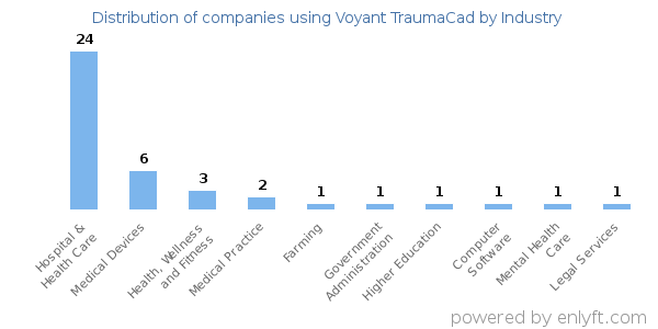 Companies using Voyant TraumaCad - Distribution by industry